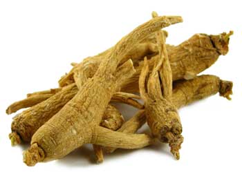 Ginseng Root, Panax, Wild Harvested (1 oz.)