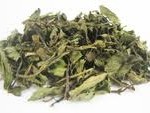 pennyroyal